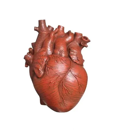 Anatomical Heart Ceramic Vase - Vivreux Interior